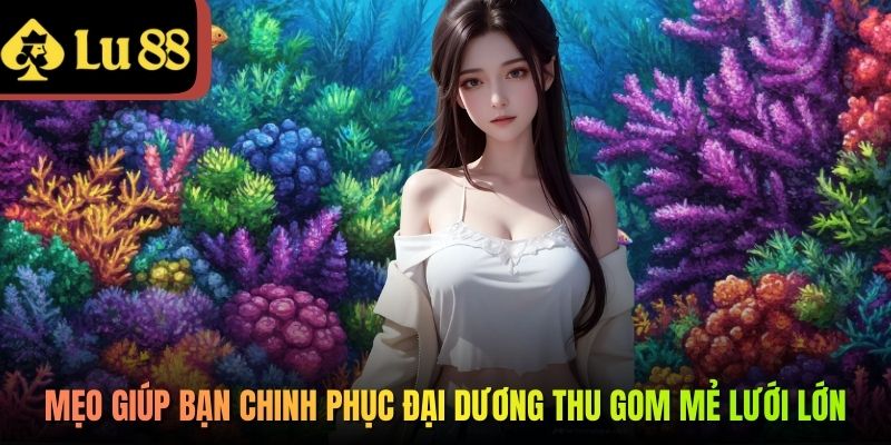 Mẹo giúp bạn chinh phục đại dương thu gom mẻ lưới lớn